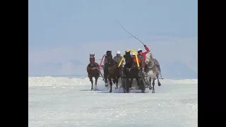 Конные скачки на льду Красноярского водохранилища прошли в Новоселовском районе