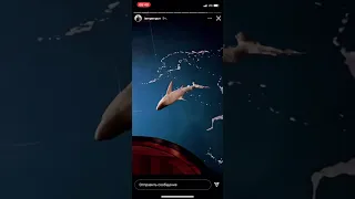 #shorts Джиган поймал огромную акулу 🐬😱