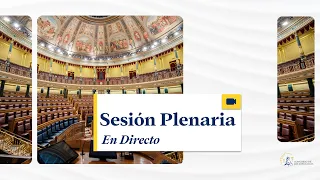 Sesión Plenaria - 06/02/2024