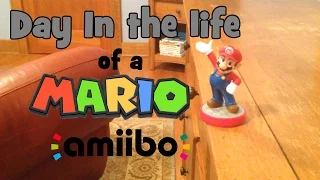 Day in the Life of a Mario Amiibo