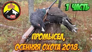 Промысел 2018 /1 часть, по следам лося/