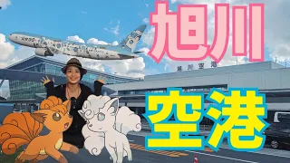 旭山動物園の玄関『旭川空港』は動物園の世界観を崩さない素晴らしい空港だった！