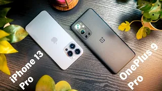 iPhone 13 Pro VS OnePlus 9 Pro Camera Comparison (Photography)