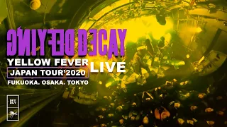 Defying Decay - Yellow Fever (Live In Japan 2020)
