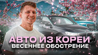 АВТО ИЗ КОРЕИ l ВЕСЕННЕЕ ОБОСТРЕНИЕ #abkorea #автоизкореи