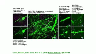 Ed Boyden: Neurophotonic strategies for observing and controlling neural circuits