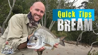 HOW TO CATCH BIG Bream on bread | Quick tips for beginners