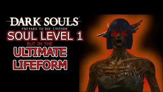 Can you be overpowered at Soul Level 1 in Dark Souls??