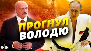 Лукашенко стал папиком Путина. Грыгорыч прогнул прибывшего на поклон Володю