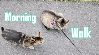 Walking with My Cats