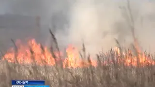 В районе Оренбурга зарегистрировано три крупных степных пожара