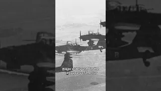 Terror from above: The Ju 87 Stuka #shorts #historyfacts #militaryhistory #military #history #ww2
