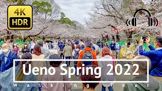 [4K/HDR/Binaural] Ueno Spring 2022 Walking Tour - Tokyo Japan