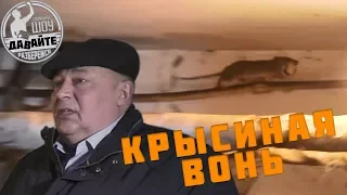 Давайте разберёмся #1 - Крысиная вонь