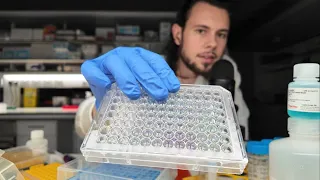 ASMR | Relax while I quantify protein concentration | Evening lab work #2 (4K)