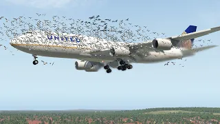 MASSIVE BIRD FLOCK ATTACK - FORCING BOEING 747 TO MAKE EMERGENCY LANDING | X-Plane 11