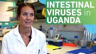 Studying intestinal viruses in Uganda