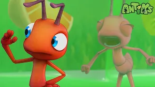 When Food Fights Back! 😱 | 🐛 Antiks & Insectibles 🐜 | Funny Cartoons for Kids | Moonbug