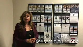 Assistant Chief DDA Nat Luna on brochures available on domestic violence elder abuse animal cruelty