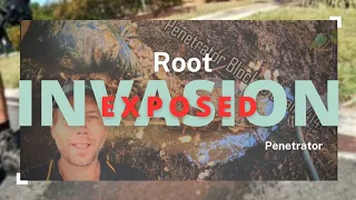 Blocked Drain 414 - Root Invasion EXPOSED, Extreme Drain Rescue, Fighting Nature's Fury