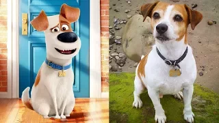 The Secret Life Of Pets Characters In Real Life | All Characters 2017