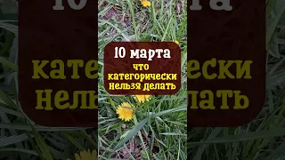 10 марта народный праздник Тарасий Кумашник. Что категорически нельзя делать. Народные приметы