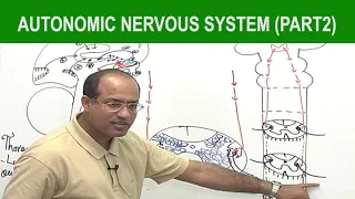 Autonomic Nervous System  | Neurology | Neuroanatomy | Part 2🧠