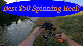 Daiwa Revros Spinning Reel Review "Part 1" (BEST $50 BUDGET REEL!?!?)