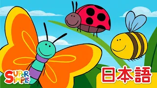チョウチョさん テントウムシさん ハチさん「Butterfly Ladybug Bumblebee」| こどものうた |  Super Simple 日本語