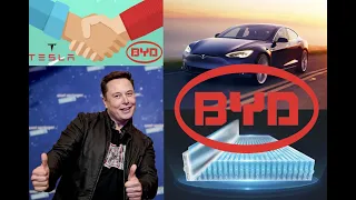 BYD to Supply Blade Battery for Tesla Model 2!