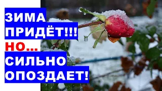 Чи буде взимку 2023-2024 років справжня зимова погода? Прогноз погоди на зиму