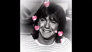 DAVID CASSIDY TRIBUTE-ONE TRUE LOVE