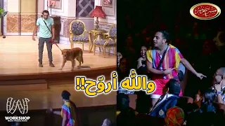 أوس أوس بيستخبى وسط الجمهور بسبب كلب وعلي ربيع بيستغل الموقف 😂 #مسرح_مصر