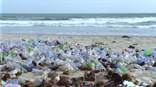 Agent of Change - Jonathan Byrt, Monash Business School - Plastic Pollution