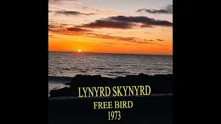 LYNYRD SKYNYRD   "FREE BIRD"