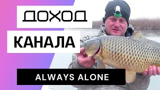 Всегда в одиночку - Обзор канала. Сколько зарабатывает Youtube канал Always Alone