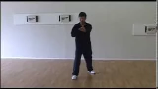 Yang Family Tai Chi turn body chop with fist, transitions to parry block punch, grasp birds tail