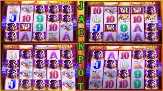 MY BIGGEST JACKPOT ON WONDER 4 BUFFALO GOLD SUPER FREE GAMES