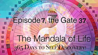 EPISODE 7:GATE 37: FAMILY : THE HUMAN DESIGN MANDALA OF LIFE: 365 Days to Self Discovery!