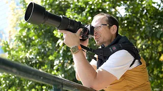 Is the 60-600mm Sigma Zoom Right for You?