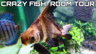 TOUR through the ohio fish rescue