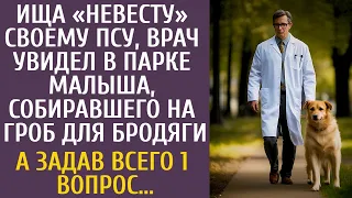 Ища «невесту» своему псу, врач увидел в парке малыша, собиравшего на гроб… А задав всего 1 вопрос…