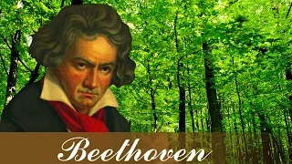 Music for Relaxation, Classical Music, Stress Relief, Instrumental Music, Beethoven, ♫E107