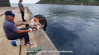 Fishing at Porto das Pipas - Azores - Pesca no Porto das Pipas - Açores #5