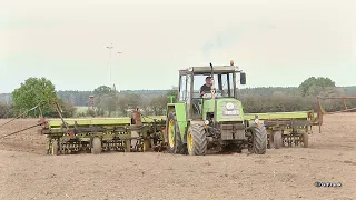 Fortschritt ZT 323/Saxonia A 215/Kopplungswagen T 890