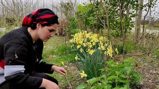 Cooking food from nettles and wild herbs in my village is the best food for spring festival