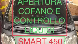 Come aprire il cofano/controllare i livelli della smart 450 1a serie