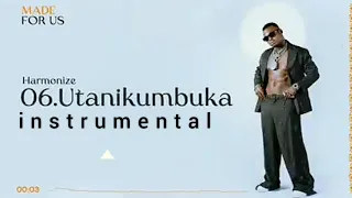 Harmonize - Utanikumbuka Instrumental (by prosamah)