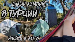 В ТУРЦИЮ🇹🇷 ДИКАРЯМИ С палатками⛺️ на ЖИГУЛЯХ! Жизнь в лесу на МОРЕ!🐳 Дикий кемпинг!🐗 Наш лагерь!