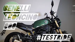 Benelli Leoncino 800 (2022) testride | pure sound